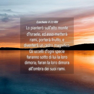 Picture 04 - Ezechiele 17:23 RIV - Lo pianterò sull’alto monte d’Israele; ed - Bible Verse Picture