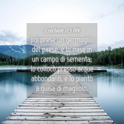 Picture 04 - Ezechiele 17:5 RIV - poi prese un germoglio del paese, e lo mise in un - Bible Verse Picture