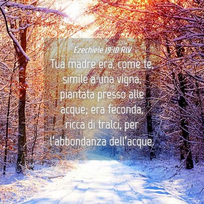 Picture 04 - Ezechiele 19:10 RIV - Tua madre era, come te, simile a una vigna, - Bible Verse Picture