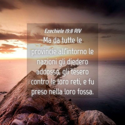 Picture 04 - Ezechiele 19:8 RIV - Ma da tutte le provincie all’intorno le nazioni - Bible Verse Picture