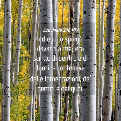 Picture 04 - Ezechiele 2:10 RIV - ed egli lo spiegò davanti a me; era scritto di - Bible Verse Picture