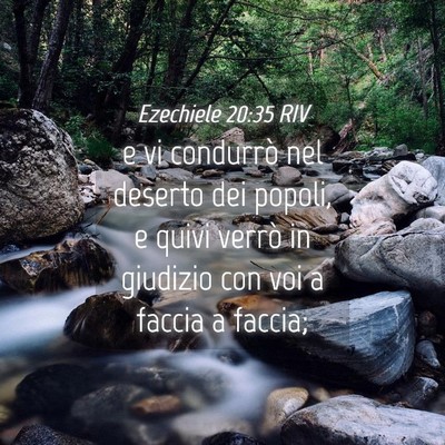 Picture 04 - Ezechiele 20:35 RIV - e vi condurrò nel deserto dei popoli, e quivi - Bible Verse Picture