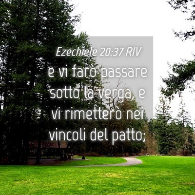 Picture 04 - Ezechiele 20:37 RIV - e vi farò passare sotto la verga, e vi - Bible Verse Picture