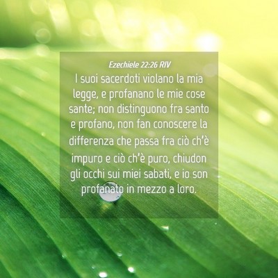 Picture 04 - Ezechiele 22:26 RIV - I suoi sacerdoti violano la mia legge, e - Bible Verse Picture