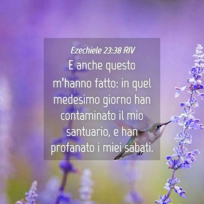 Picture 04 - Ezechiele 23:38 RIV - E anche questo m’hanno fatto: in quel medesimo - Bible Verse Picture
