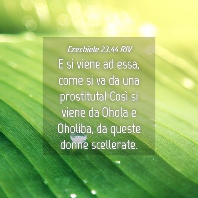 Picture 04 - Ezechiele 23:44 RIV - E si viene ad essa, come si va da una prostituta! - Bible Verse Picture