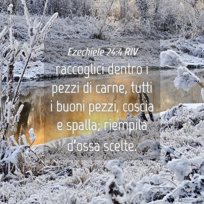 Picture 04 - Ezechiele 24:4 RIV - raccoglici dentro i pezzi di carne, tutti i buoni - Bible Verse Picture