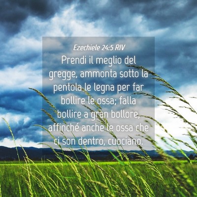 Picture 04 - Ezechiele 24:5 RIV - Prendi il meglio del gregge, ammonta sotto la - Bible Verse Picture