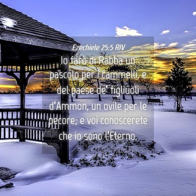 Picture 04 - Ezechiele 25:5 RIV - Io farò di Rabba un pascolo per i cammelli, e - Bible Verse Picture