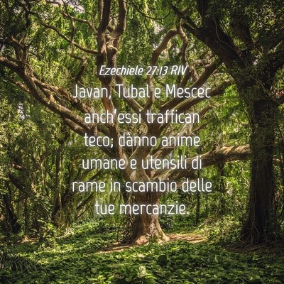 Picture 04 - Ezechiele 27:13 RIV - Javan, Tubal e Mescec anch’essi traffican teco; - Bible Verse Picture