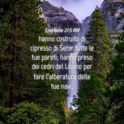 Picture 04 - Ezechiele 27:5 RIV - hanno costruito di cipresso di Senir tutte le tue - Bible Verse Picture