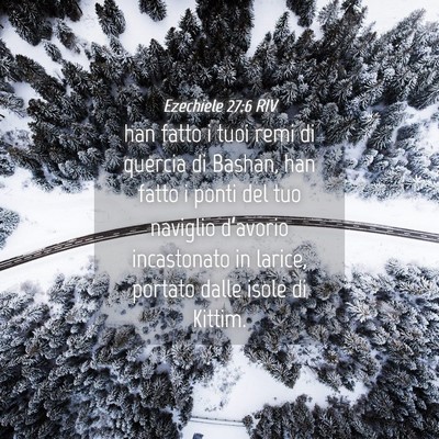 Picture 04 - Ezechiele 27:6 RIV - han fatto i tuoi remi di quercia di Bashan, han - Bible Verse Picture