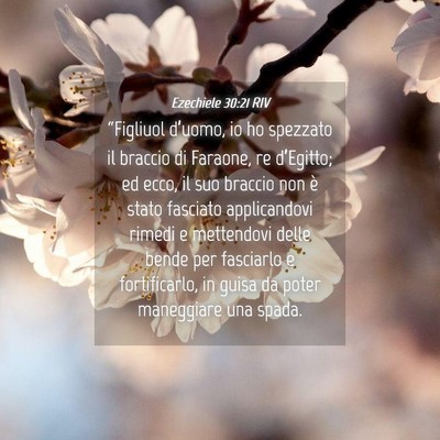 Picture 04 - Ezechiele 30:21 RIV - “Figliuol d’uomo, io ho spezzato il braccio - Bible Verse Picture