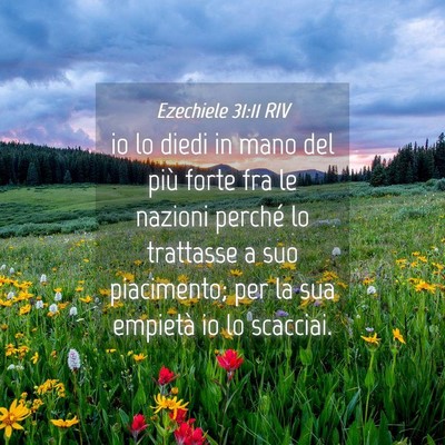 Picture 04 - Ezechiele 31:11 RIV - io lo diedi in mano del più forte fra le nazioni - Bible Verse Picture