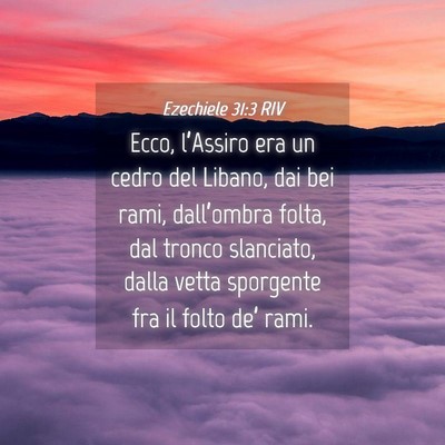 Picture 04 - Ezechiele 31:3 RIV - Ecco, l’Assiro era un cedro del Libano, dai bei - Bible Verse Picture
