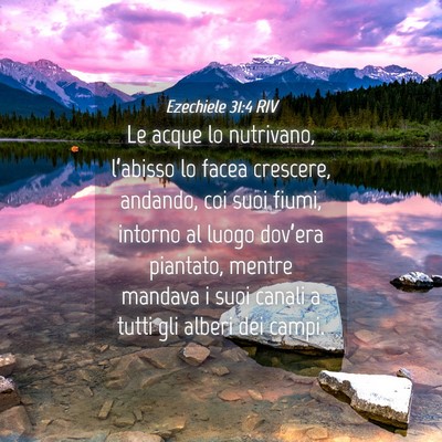 Picture 04 - Ezechiele 31:4 RIV - Le acque lo nutrivano, l’abisso lo facea - Bible Verse Picture