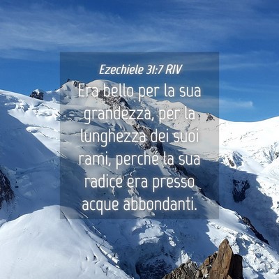 Picture 04 - Ezechiele 31:7 RIV - Era bello per la sua grandezza, per la lunghezza - Bible Verse Picture