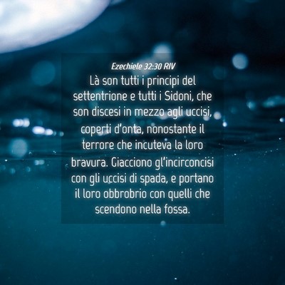 Picture 04 - Ezechiele 32:30 RIV - Là son tutti i principi del settentrione e tutti - Bible Verse Picture