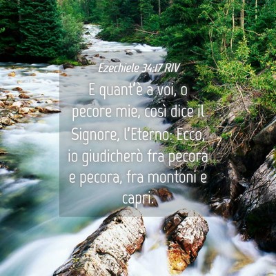 Picture 04 - Ezechiele 34:17 RIV - E quant’è a voi, o pecore mie, così dice il - Bible Verse Picture