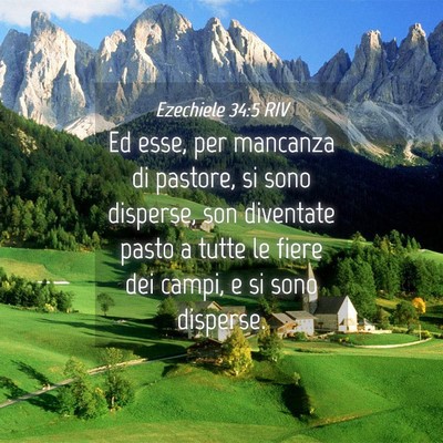Picture 04 - Ezechiele 34:5 RIV - Ed esse, per mancanza di pastore, si sono - Bible Verse Picture
