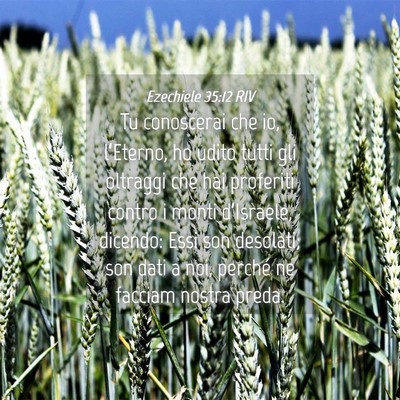 Picture 04 - Ezechiele 35:12 RIV - Tu conoscerai che io, l’Eterno, ho udito tutti - Bible Verse Picture