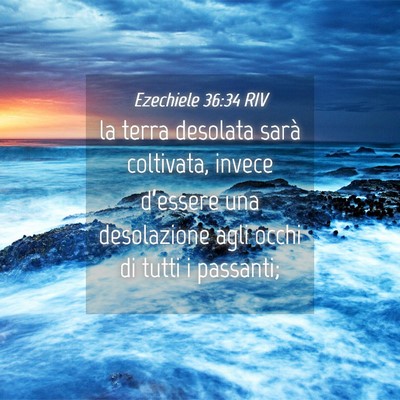 Picture 04 - Ezechiele 36:34 RIV - la terra desolata sarà coltivata, invece - Bible Verse Picture