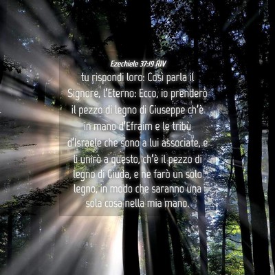 Picture 04 - Ezechiele 37:19 RIV - tu rispondi loro: Così parla il Signore, - Bible Verse Picture