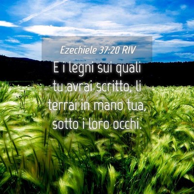 Picture 04 - Ezechiele 37:20 RIV - E i legni sui quali tu avrai scritto, li terrai - Bible Verse Picture