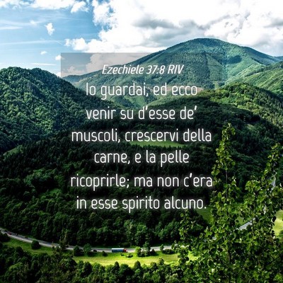 Picture 04 - Ezechiele 37:8 RIV - Io guardai, ed ecco venir su d’esse de’ - Bible Verse Picture