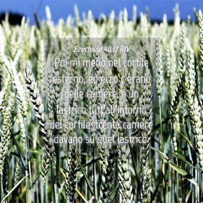 Picture 04 - Ezechiele 40:17 RIV - Poi mi menò nel cortile esterno, ed ecco - Bible Verse Picture