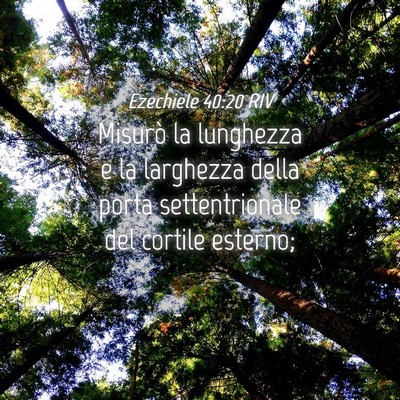 Picture 04 - Ezechiele 40:20 RIV - Misurò la lunghezza e la larghezza della porta - Bible Verse Picture