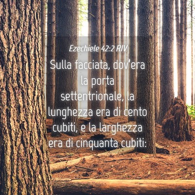 Picture 04 - Ezechiele 42:2 RIV - Sulla facciata, dov’era la porta - Bible Verse Picture