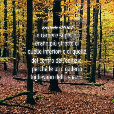 Picture 04 - Ezechiele 42:5 RIV - Le camere superiori erano più strette di quelle - Bible Verse Picture