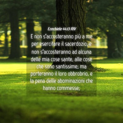 Picture 04 - Ezechiele 44:13 RIV - E non s’accosteranno più a me per esercitare - Bible Verse Picture