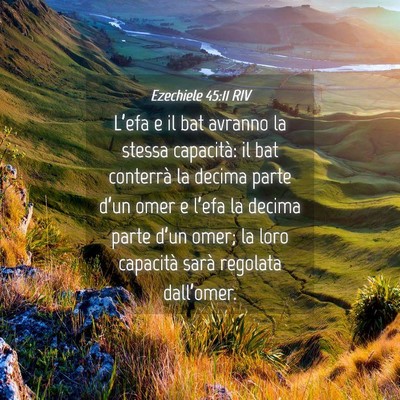 Picture 04 - Ezechiele 45:11 RIV - L’efa e il bat avranno la stessa capacità: il - Bible Verse Picture