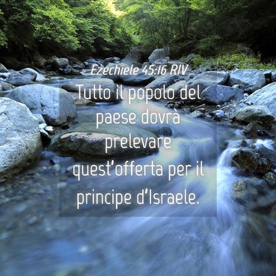 Picture 04 - Ezechiele 45:16 RIV - Tutto il popolo del paese dovrà prelevare - Bible Verse Picture