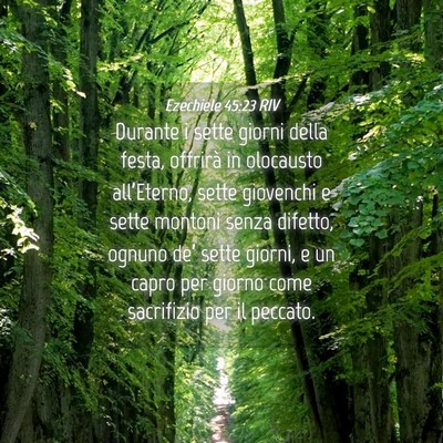 Picture 04 - Ezechiele 45:23 RIV - Durante i sette giorni della festa, offrirà in - Bible Verse Picture