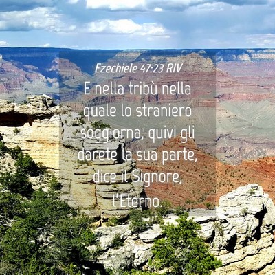 Picture 04 - Ezechiele 47:23 RIV - E nella tribù nella quale lo straniero - Bible Verse Picture