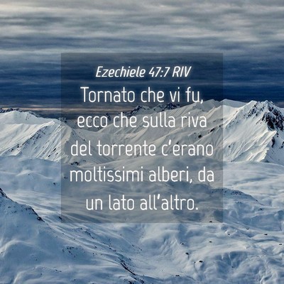Picture 04 - Ezechiele 47:7 RIV - Tornato che vi fu, ecco che sulla riva del - Bible Verse Picture