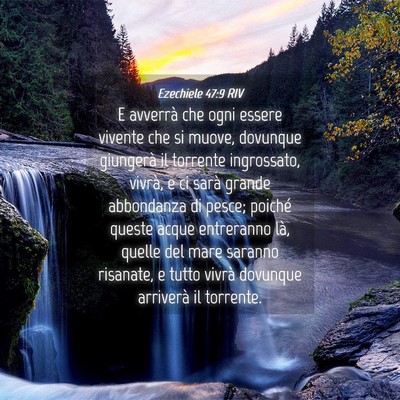 Picture 04 - Ezechiele 47:9 RIV - E avverrà che ogni essere vivente che si muove, - Bible Verse Picture