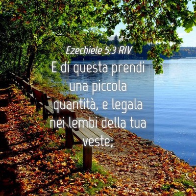 Picture 04 - Ezechiele 5:3 RIV - E di questa prendi una piccola quantità, e - Bible Verse Picture