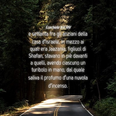 Picture 04 - Ezechiele 8:11 RIV - e settanta fra gli anziani della casa - Bible Verse Picture