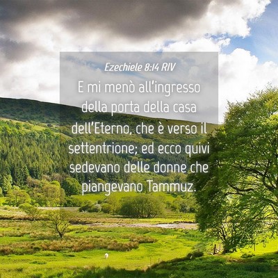 Picture 04 - Ezechiele 8:14 RIV - E mi menò all’ingresso della porta della casa - Bible Verse Picture