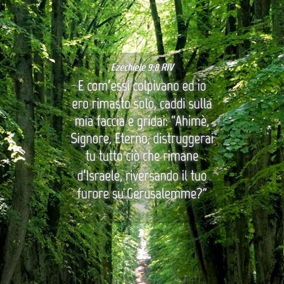 Picture 04 - Ezechiele 9:8 RIV - E com’essi colpivano ed io ero rimasto solo, - Bible Verse Picture
