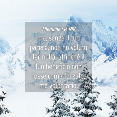 Picture 04 - Filemone 1:14 RIV - ma, senza il tuo parere, non ho voluto far nulla, - Bible Verse Picture