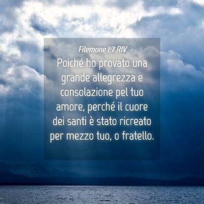 Picture 04 - Filemone 1:7 RIV - Poiché ho provato una grande allegrezza e - Bible Verse Picture
