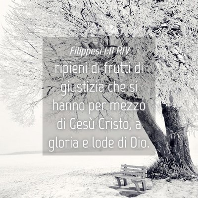 Picture 04 - Filippesi 1:11 RIV - ripieni di frutti di giustizia che si hanno per - Bible Verse Picture