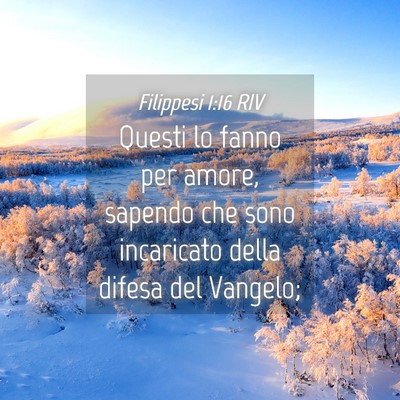 Picture 04 - Filippesi 1:16 RIV - Questi lo fanno per amore, sapendo che sono - Bible Verse Picture