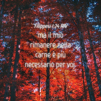 Picture 04 - Filippesi 1:24 RIV - ma il mio rimanere nella carne è più necessario - Bible Verse Picture