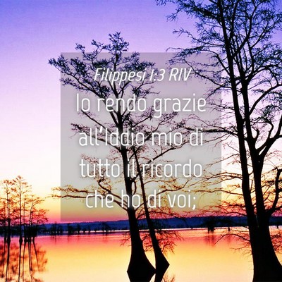 Picture 04 - Filippesi 1:3 RIV - Io rendo grazie all’Iddio mio di tutto il - Bible Verse Picture